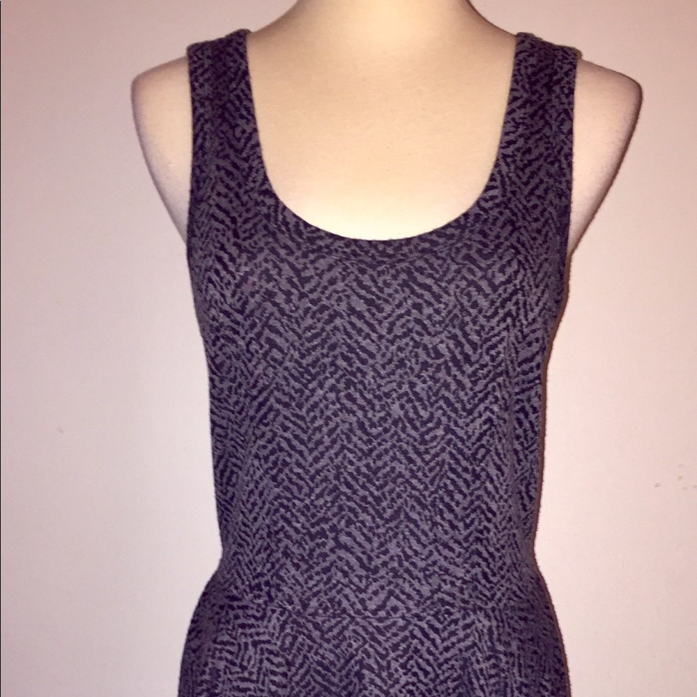Express Fit and Flare Dress Jumper